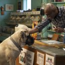 베일리 베일리 이미지