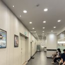 동아테마타운 | 부평 맛집 스시 뷔페 쿠우쿠우 골드 부평점 리뉴얼 오픈 주말 디너 방문 솔직후기