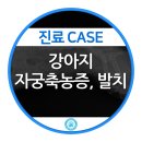 강동24시 SKY 동물의료센터 이미지
