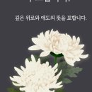 도우누리복지용구 이미지