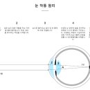 바라보다안경 이미지