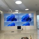 탄생비디오 이미지