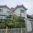 사파동120 이미지