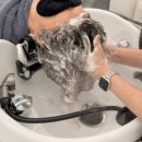 지우스파 이미지