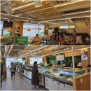 금오대로 도로변 이미지