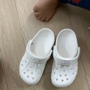 테크노플라워