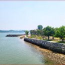 별헤는 다리 이미지