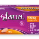 알레그라 이미지