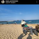 청초호유원지(중앙) 이미지