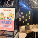 데이지바(Daisy BAR)