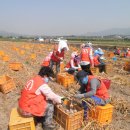 김주철농장 이미지