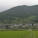 평지마을앞~신기마을앞 이미지