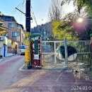 대전화교소학 이미지