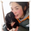 유기견보호소 봉사 :) 포천 애신동산 방문이야기 -