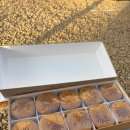 해빵이네 | 울산 일출명소 간절곶 주변 해빵, 그릿비 서생 방문 후기