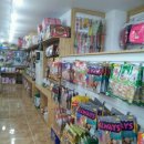 쌍방울애견 이미지