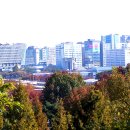 하늘계단 이미지