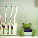 개구리집 이미지