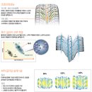 19인치 한국 타이어 저렴하게 판매 합니다. 이미지