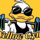 옐로우짐 PT&필라테스 이미지