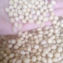 영농조합법인 이미지