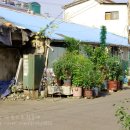 일심여관 이미지