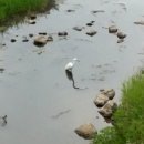 창릉천수변공원 Daum카페