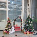 매리매리 쫑쫑 이미지