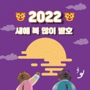 더푸름컴퍼니