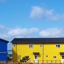 나무앤씨 키즈 이미지