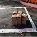 행정용 8 이미지