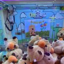 토이즈팝 이미지