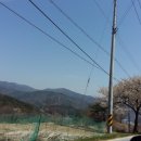 엔젤 태양광발전소 이미지