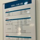 레푸스계양 | 계양구 발각질제거 레푸스에서 무좀발 아기발 만든 후기