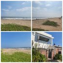 왕숙천 자전거도로12 | [인도 첸나이 자전거 맛집 투어] 첸나이 아라비안 가든 씨푸드 식당 (ECR) 방문 후기