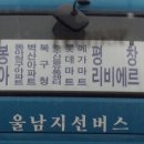 부정공(농소파) 직유 선조님 묘소 ! 이미지