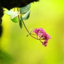 정헌축사 이미지