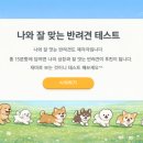강아지랑나랑 네이버블로그