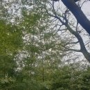 소선농장 이미지