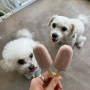 프프프스토어 이미지