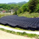 먼시골에서 이미지