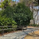 중앙체육공원 이미지