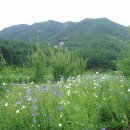 두메산골 이미지