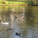 인생여행 이미지