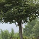 디자인소풍