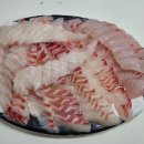 해성피싱 이미지