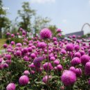 피노키오 놀이터 이미지