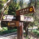 물무산행복숲둘레길 이미지