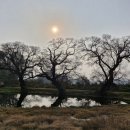 명옥헌원림2(입구) 이미지