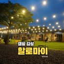 337흑돼지캠핑처럼 | 서귀포 흑돼지 맛집 할로마이 몸만 가면 되는 캠핑 감성 바베큐